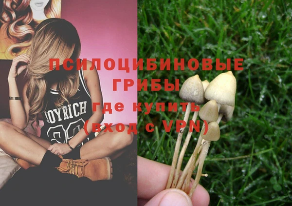 Альфа ПВП Алексеевка