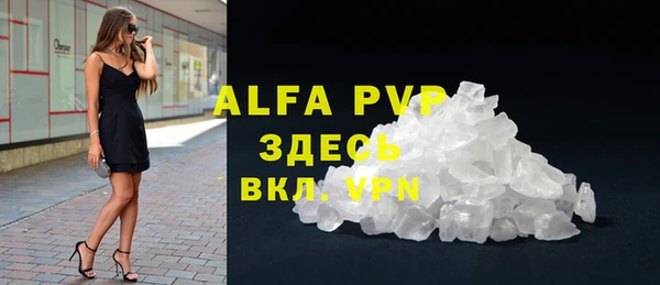 стаф Алзамай