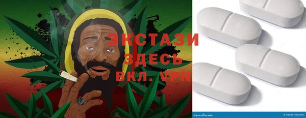 стаф Алзамай