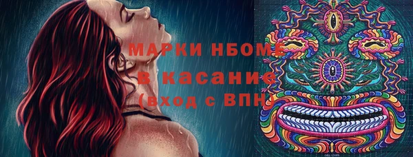 шишки Армянск