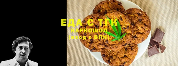 стаф Алзамай