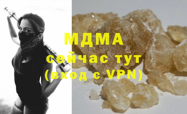 стаф Алзамай