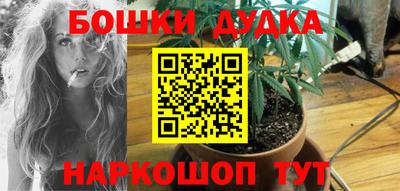 Альфа ПВП Малгобек