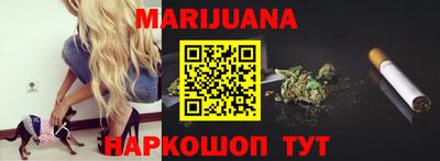 Альфа ПВП Малгобек