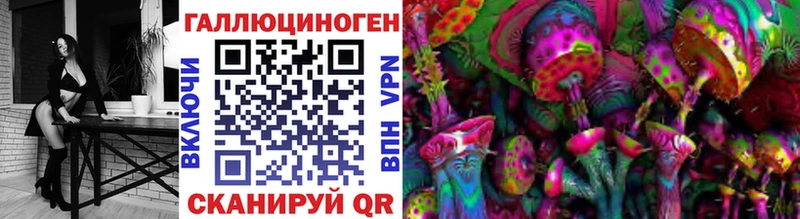 закладки  Глазов  Псилоцибиновые грибы Magic Shrooms 