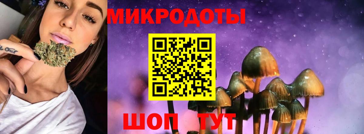 Псилоцибиновые грибы прущие грибы Глазов